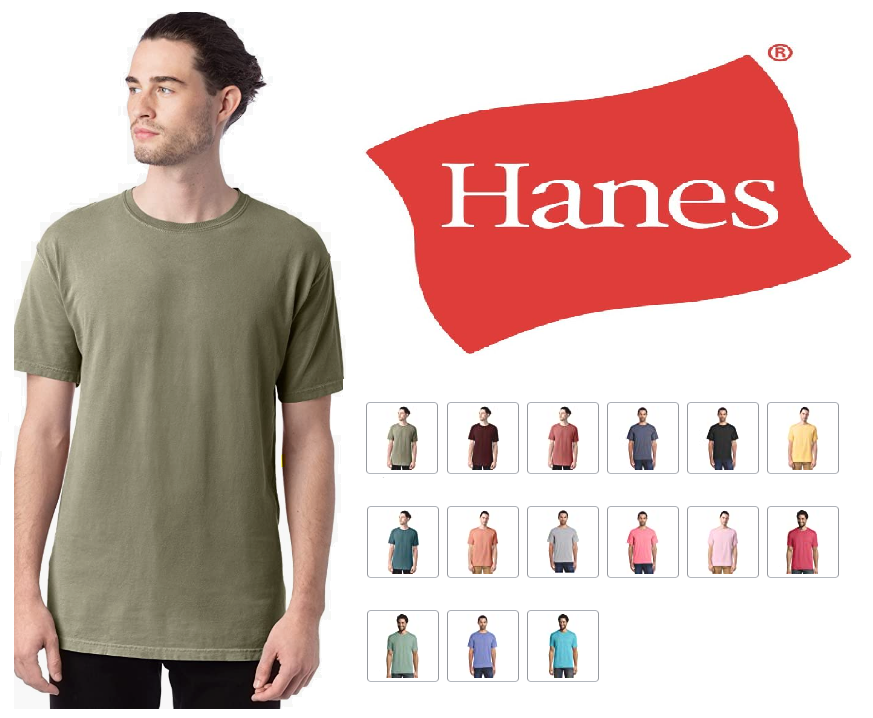 CW100 Hanes ComfortWash Garment Dyed Short Sleeve Tee New